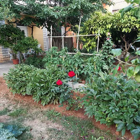 Apartment Jardin With Free Cowered Parking Zadar Buitenkant foto