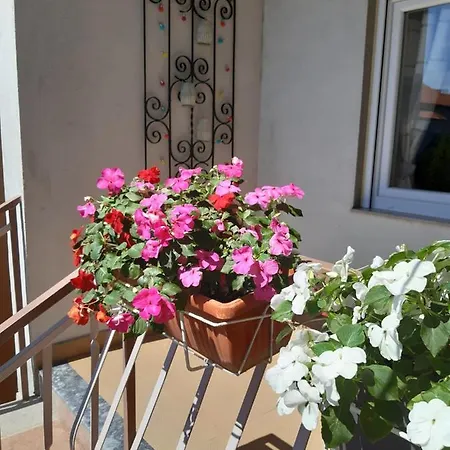 Apartment Jardin With Free Cowered Parking Zadar Buitenkant foto