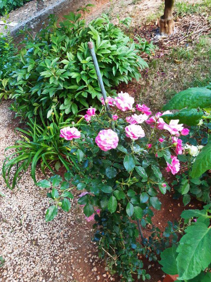Jardin With Free Cowered Parking *