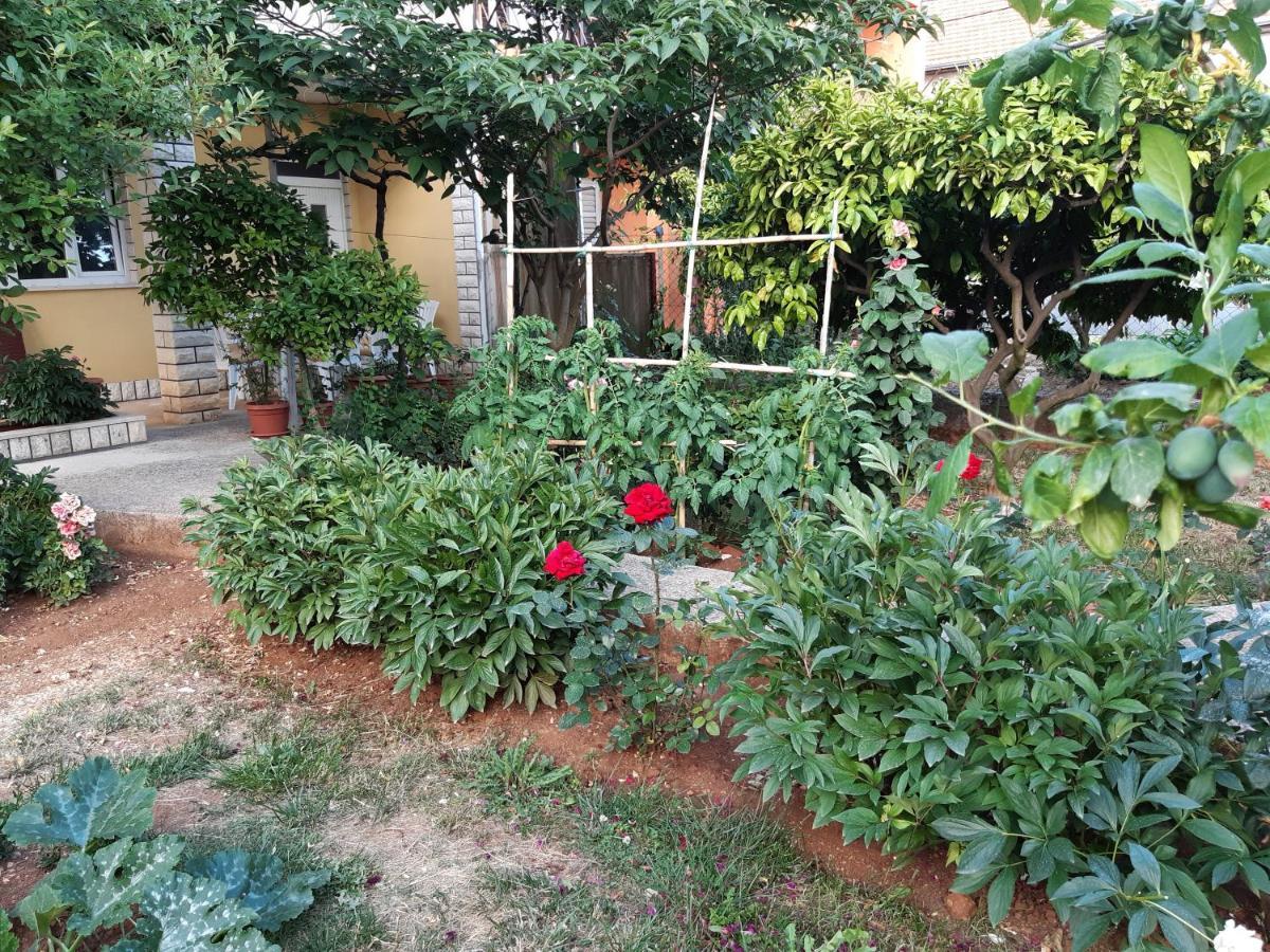 Počitniška hiša Jardin With Free Cowered Parking *