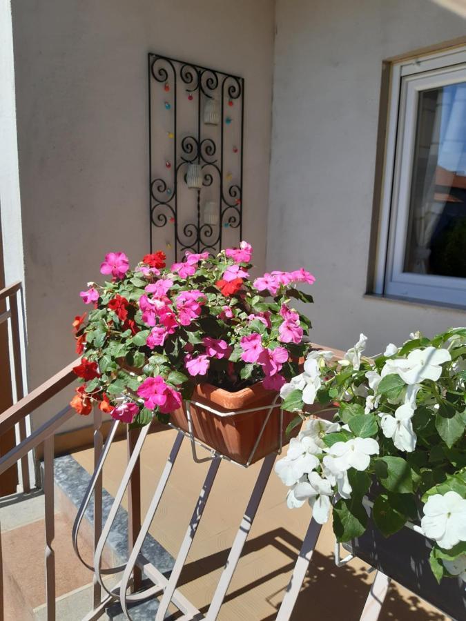 Vakantiehuis Jardin With Free Cowered Parking