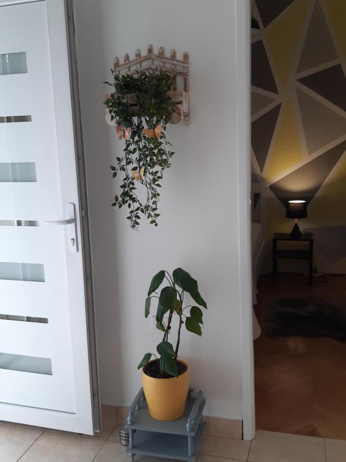 Jardin With Free Cowered Parking Vakantiehuis *